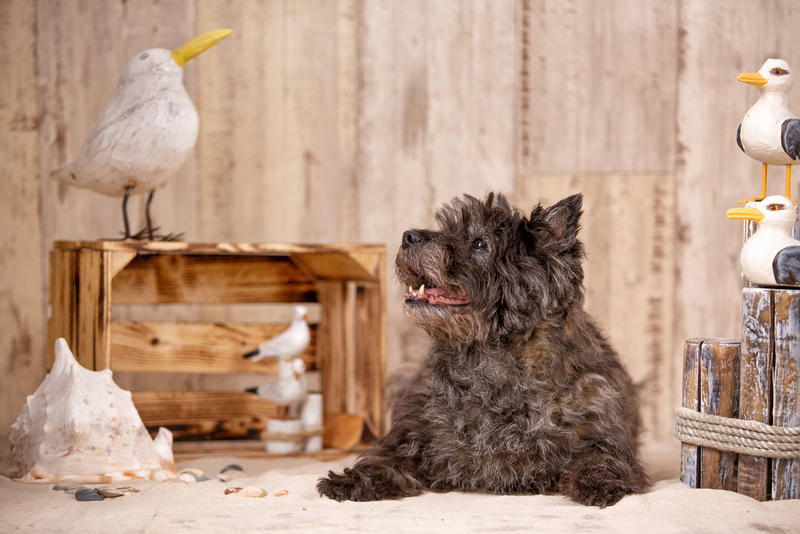 Unsere neue Website ist online!